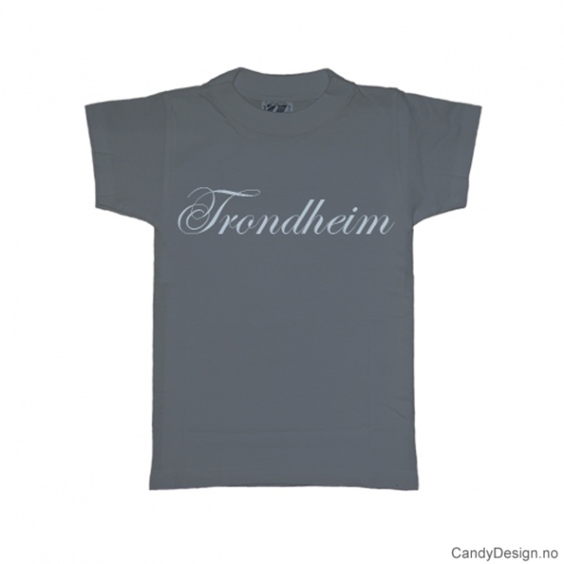 XXL- Herre T-skjorte Trondheim blågrå med lyse blått trykk