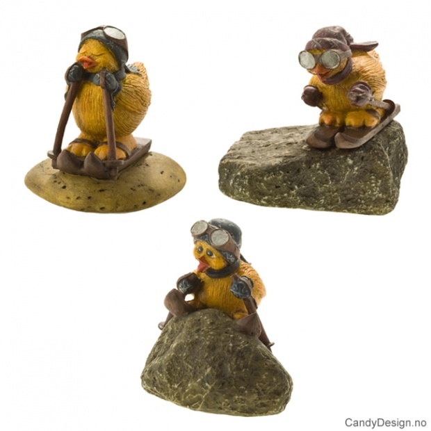 Store Telemark kyllinger på stein assortert