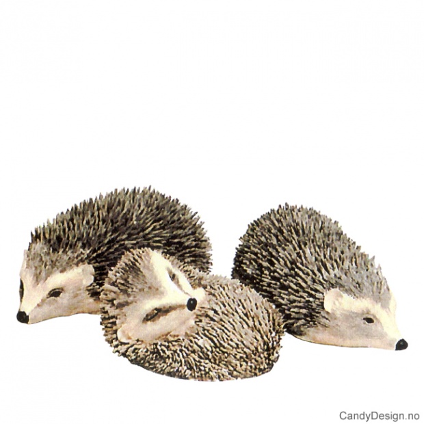 Små pinnsvin assortert