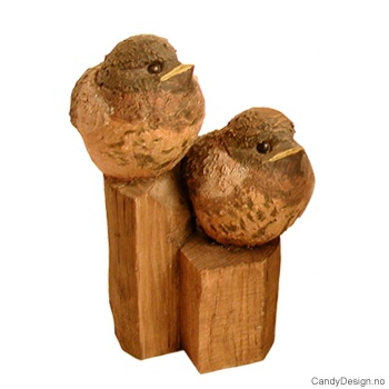 Fugler - Sammen for alltid