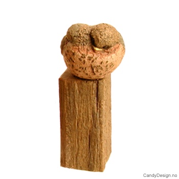 Fugler - Sammen for alltid