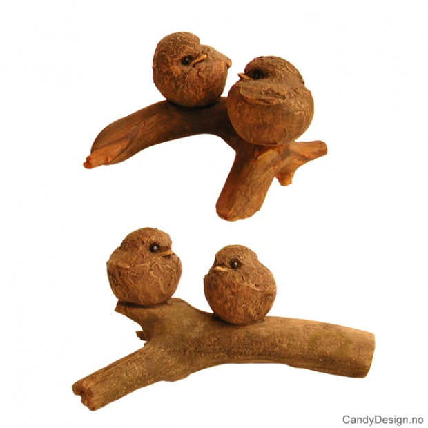 To fugler sammen på gren 3 assortert