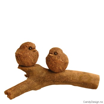 To fugler sammen på gren