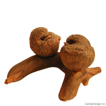 To fugler sammen på gren