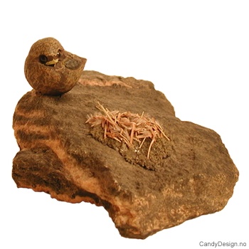 Liten fugl på stein med rede