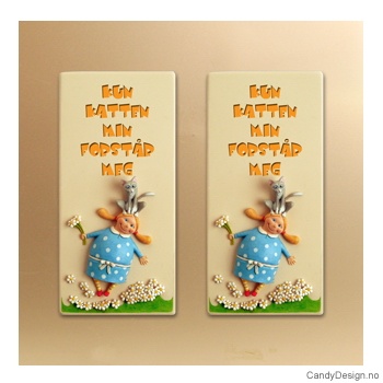 Magnetplate med relieff - Kun katten min forstår meg