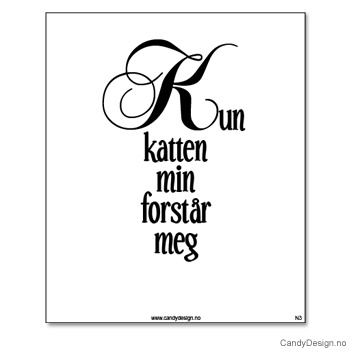 Kjøleskapsmagnet i gummi med visdomsord - Kun katten min forstår meg