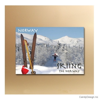 Skiing in Norway suvenir metallmagnet