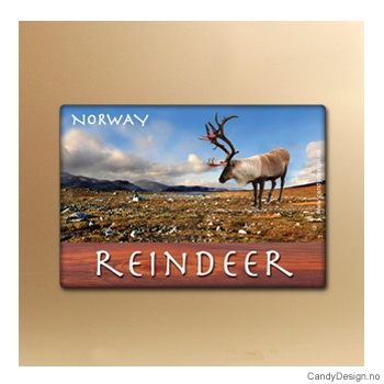 Reindeer suvenir metallmagnet