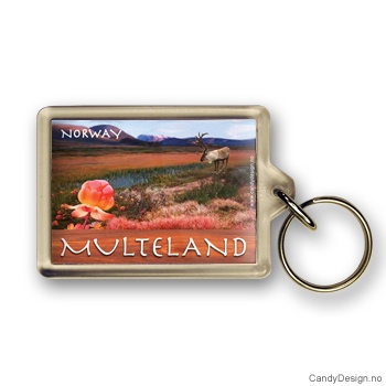 Multeland suvenir nøkkelring