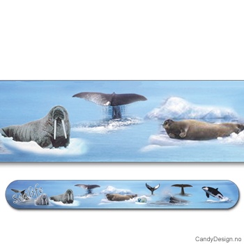 Sealife suvenir neglefil